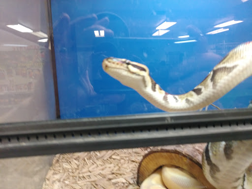 Pet Store «Pet Planet», reviews and photos, 11968 S Redwood Rd, Riverton, UT 84065, USA