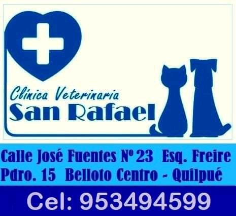 Veterinaria San Rafael. Dra Susana Vivanco - Quilpué