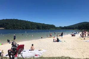 Greenbriar Beach and Swim Area image