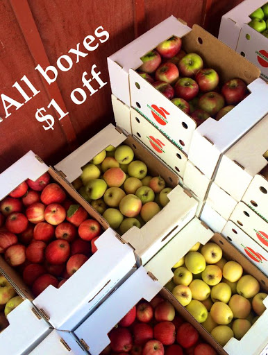 Produce Market «Washington Fruit Place At Barrett Orchards», reviews and photos, 1209 Pecks Canyon Rd, Yakima, WA 98908, USA