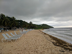 Salt River beach'in fotoğrafı çok temiz temizlik seviyesi ile