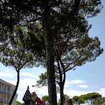 Photo n°3 de l'avis de Michele.o fait le 20/08/2021 à 12:22 sur le  Club Family Hotel Michelangelo Milano Marittima à Milano Marittima