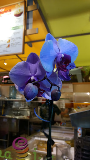 Grocery Store «Safeway», reviews and photos, 1801 W 11th St, Tracy, CA 95376, USA