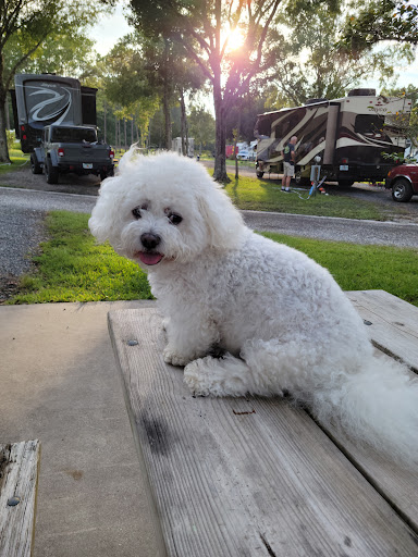 Pet Supply Store «For Pets Sake», reviews and photos, 2576 Montgomery Hwy # 6, Dothan, AL 36303, USA