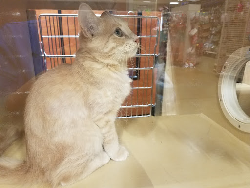 Pet Supply Store «PetSmart», reviews and photos, 2770 FM 365 c, Port Arthur, TX 77640, USA