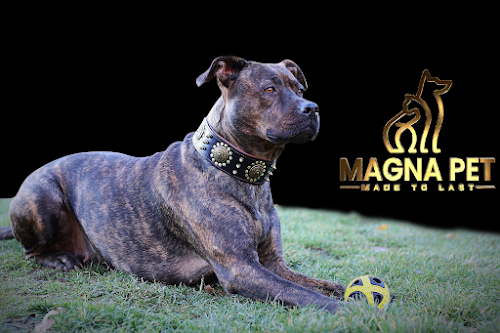 Magasin d'articles pour animaux Magna Pet Fontaine