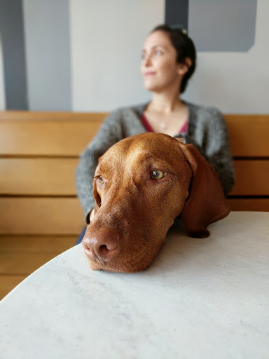 Starbucks image