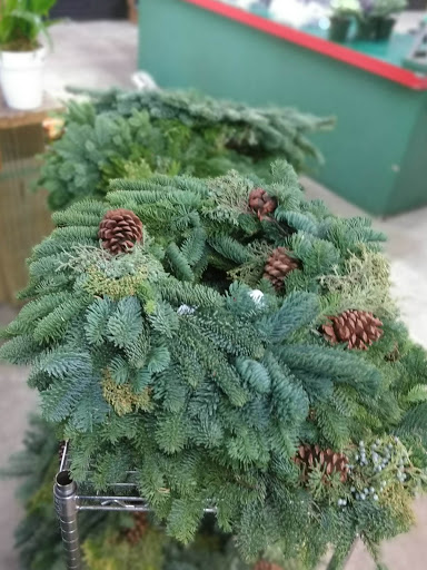 Florist «San Antonio Flower Co», reviews and photos, 7538 Broadway St, San Antonio, TX 78209, USA