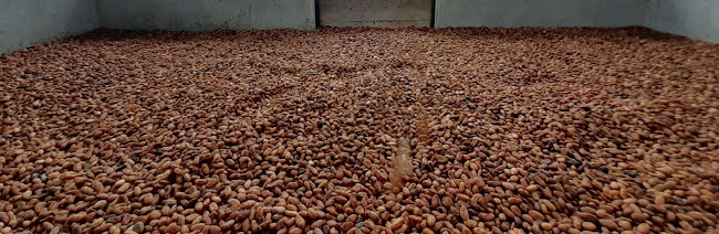 Opiniones de Comercial Agricola Rey cacao en Montalvo - Tienda