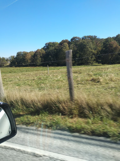 Nature Preserve «Sadsbury Woods Preserve», reviews and photos, Ramblewood Dr & Northwood Dr, Coatesville, PA 19320, USA