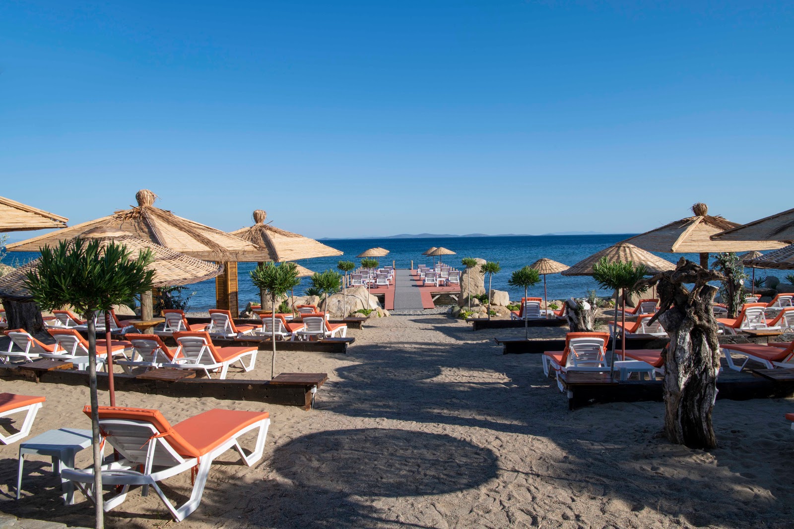 Fotografija Assos Club beach z visok stopnjo čistoče