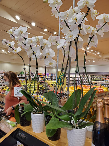 Shopping Mall «Redondo Shores Shopping Center», reviews and photos, 417 Pacific Coast Hwy, Redondo Beach, CA 90277, USA