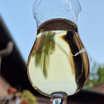 Photo n°4 de l'avis de Gabriel.o fait le 18/08/2023 à 13:55 sur le  Trattoria Sbrana à Massa Marittima