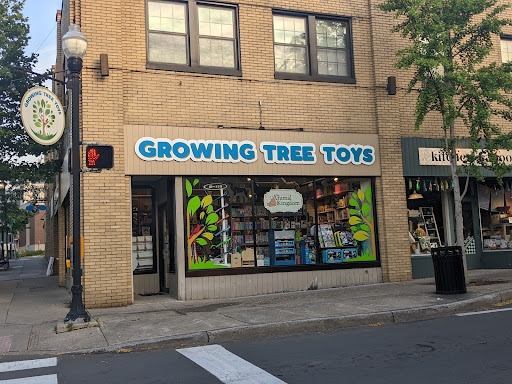 Gift Shop «Growing Tree Toys», reviews and photos, 202 S Allen St, State College, PA 16801, USA