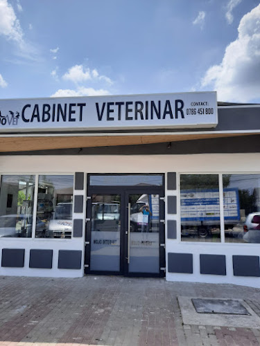 Păulești - Cabinet Veterinar Mojo Intervet - Păulești