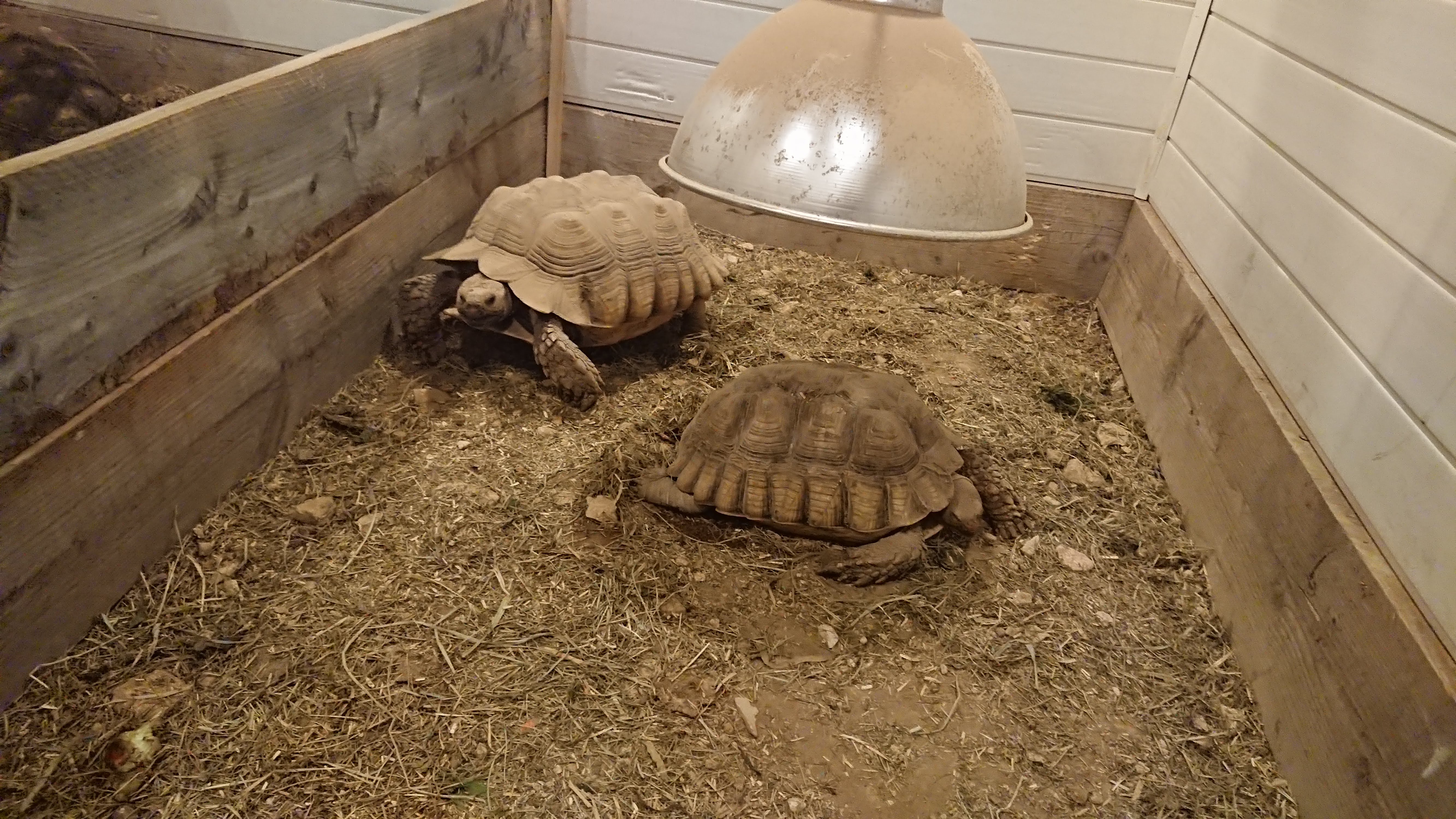 Photo n° 1 de l'avis de Pascal.u fait le 05/03/2019 à 14:35