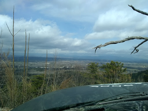 Used Furniture Store «Hotrods Used Furniture», reviews and photos, 6340 White Horse Rd, Greenville, SC 29605, USA