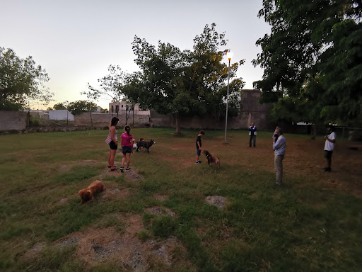 PARQUE PARA PERROS (Dog park)