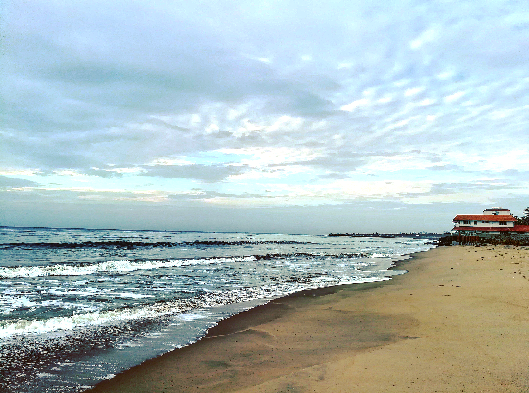 Φωτογραφία του Island Bay Beach με μακρά ευθεία ακτή