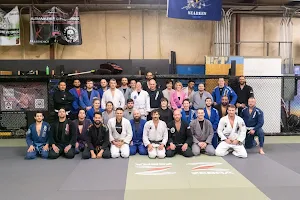 Caio Terra Brazilian Jiu Jitsu Academy Lawrence, Kansas image