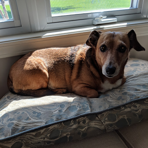 Indian River Veterinary Clinic