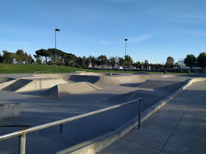 Skatepark | Emerald Glen