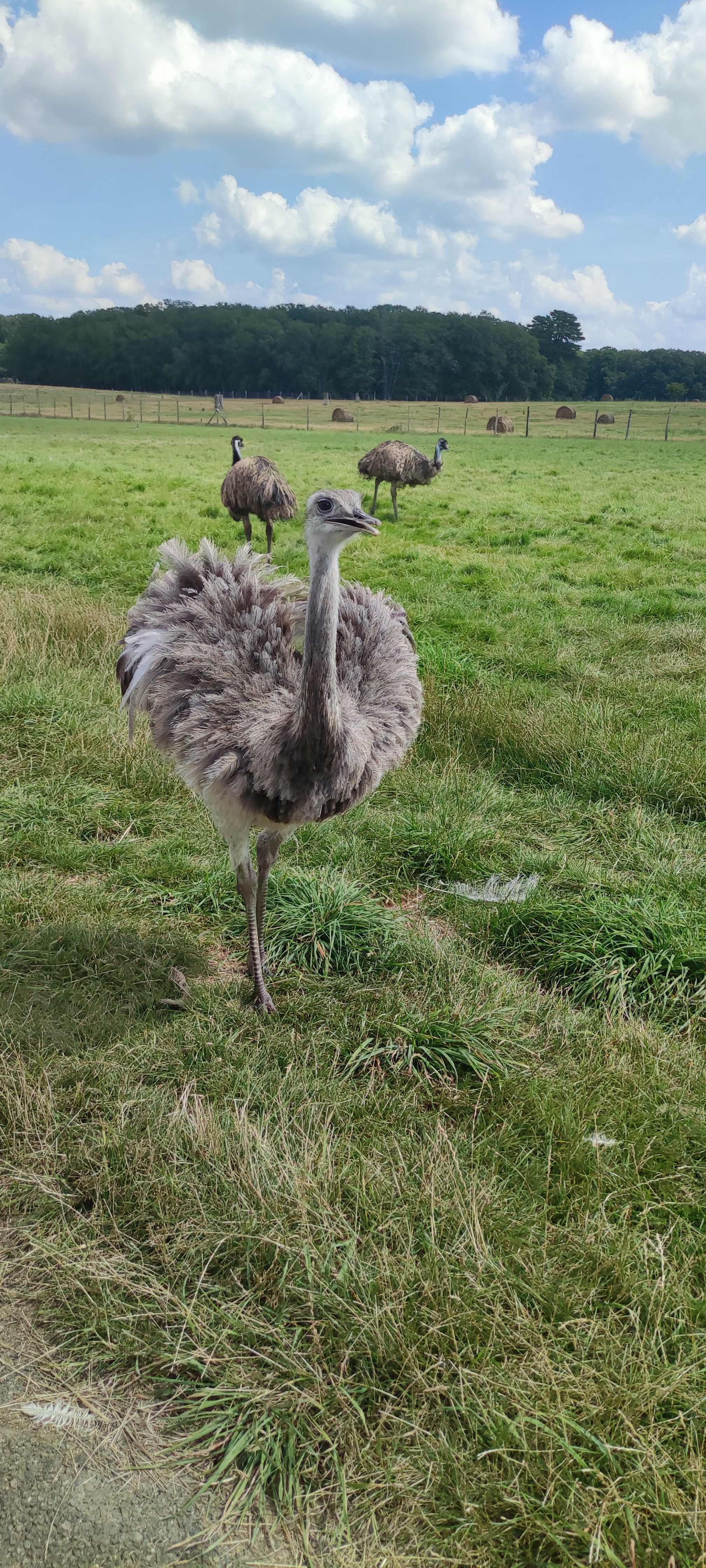 Photo n° 3 de l'avis de Amelie.o fait le 13/08/2021 à 15:00