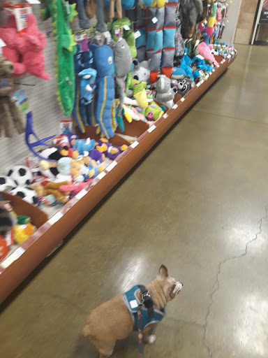 Pet Supply Store «PetSmart», reviews and photos, 1140 W Elliot Rd, Tempe, AZ 85284, USA