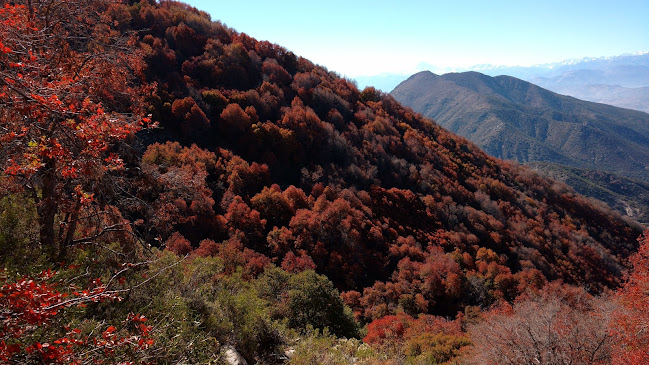 Lugar Para Comer - Restaurante