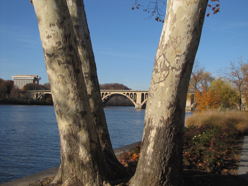National Park «Georgetown Waterfront Park», reviews and photos, Water St NW, Washington, DC 20007, USA