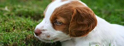 8520 Senoia Rd, Fairburn, GA 30213, USA