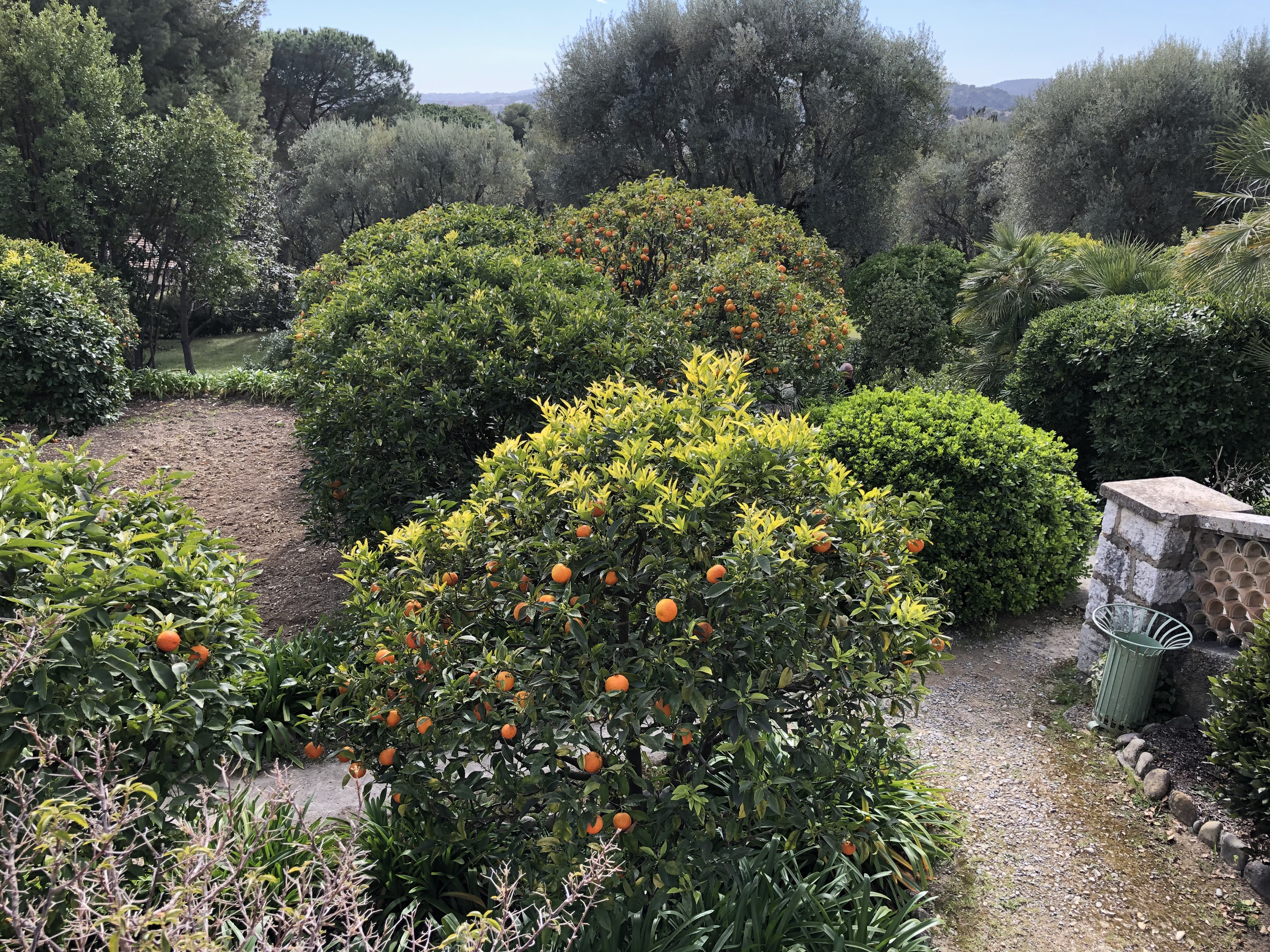 Photo n° 16 de l'avis de Denis.u fait le 25/04/2019 à 10:20