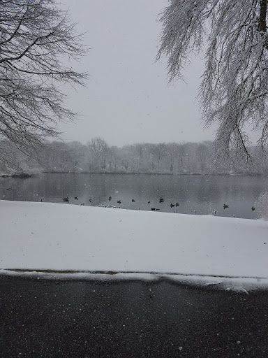 Park «Reverend Arthur Mackey Park», reviews and photos, 242 Elmwood Ave, Roosevelt, NY 11575, USA