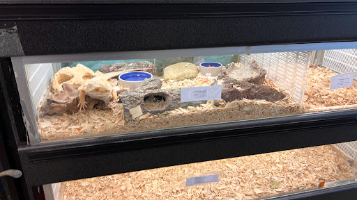 Pet Store «Parrots Of The World Aquarium and Pet Center», reviews and photos, 316 Sunrise Hwy #1, Rockville Centre, NY 11570, USA