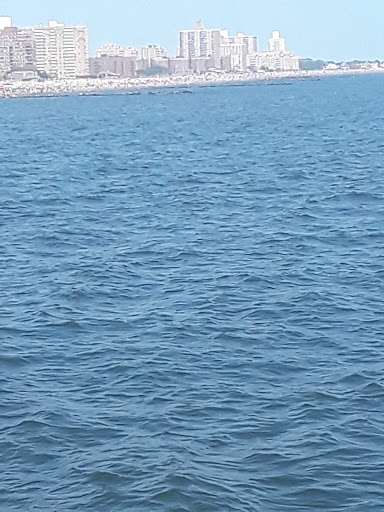 Aquarium «New York Aquarium», reviews and photos, 602 Surf Ave, Brooklyn, NY 11224, USA