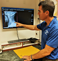 McClimon Chiropractic - Photo 8 - Car repair in Birdsboro, PA, Reading