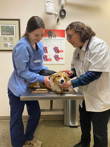 Antelope Creek Veterinary Healthcare Center image