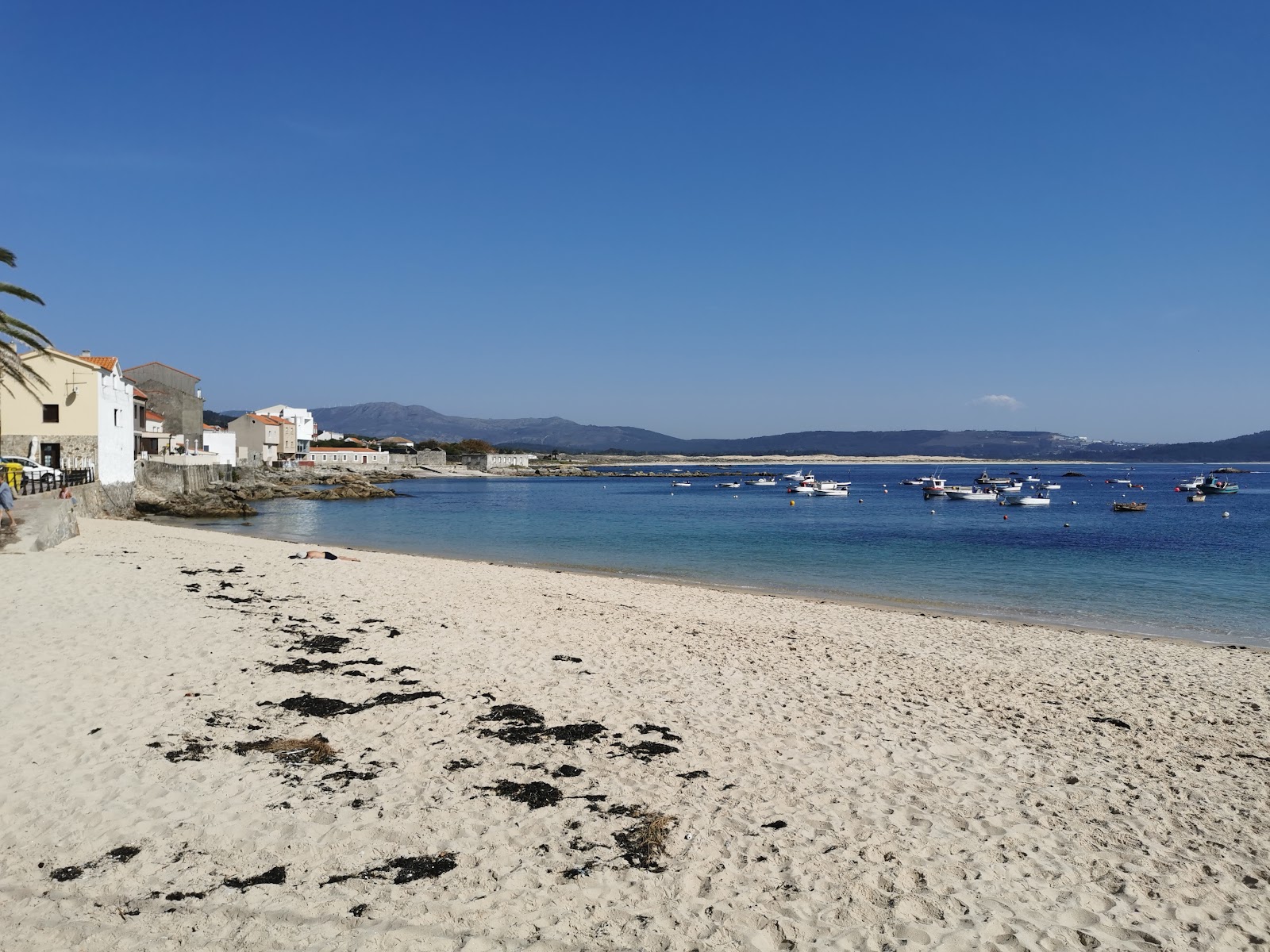 Praia Robeira'in fotoğrafı çok temiz temizlik seviyesi ile