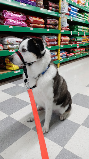 Pet Supply Store «Pet Supplies Plus», reviews and photos, 4100 Legacy Dr Suite 402, Plano, TX 75024, USA
