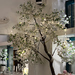 Photo n°4 de l'avis de Maryam. fait le 22/01/2023 à 17:45 sur le  Barbarella Café - Aachen à Aachen