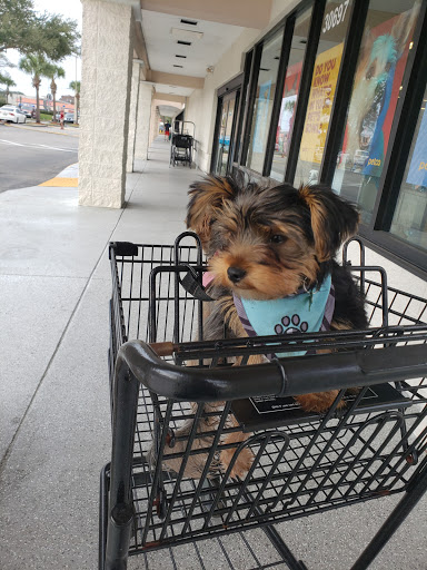 Pet Supply Store «Petco Animal Supplies», reviews and photos, 30697 US Hwy 19 N, Palm Harbor, FL 34684, USA