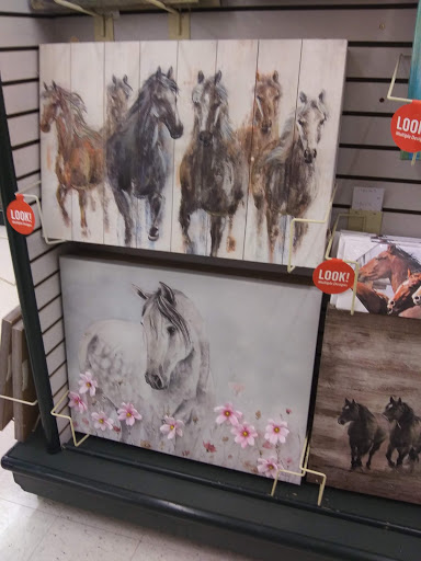 Craft Store «Hobby Lobby», reviews and photos, 1905 N Eastman Rd, Kingsport, TN 37660, USA