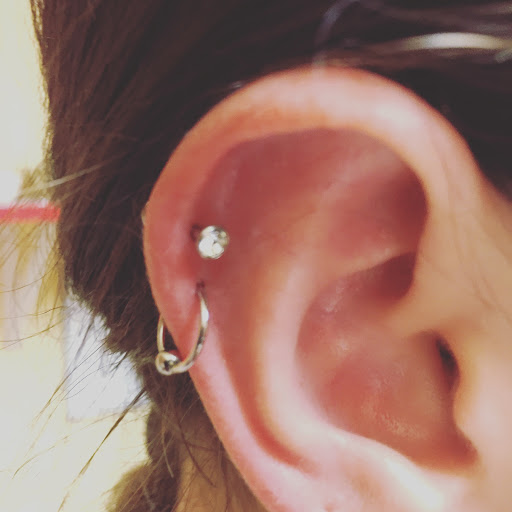 Explore simple bear tattoo ideas, creative tattoo ideas in San Diego, available at Body Art Salon