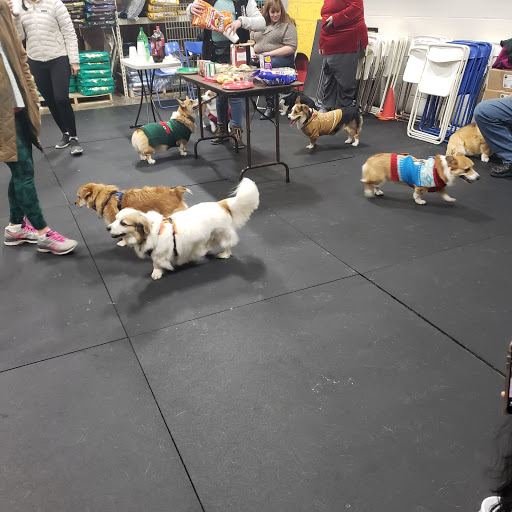 Pet Supply Store «Pet Depot Inc», reviews and photos, 2151 Greenspring Dr, Lutherville-Timonium, MD 21093, USA