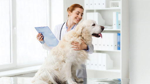 20136 Icenic Trail, Lakeville, MN 55044, USA