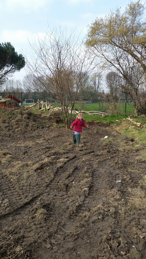 Borrowdale Road Allotments