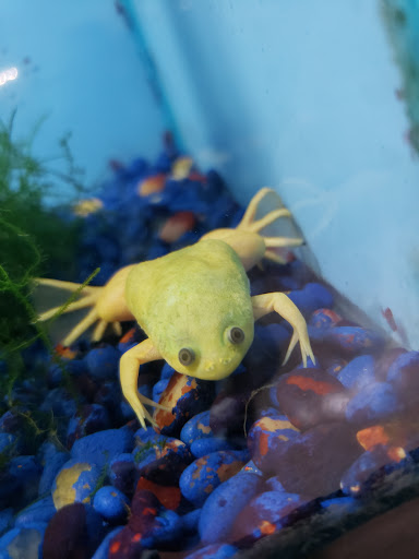 Pet Store «Fins Feathers Paws & Claws», reviews and photos, 436 Main St, Harleysville, PA 19438, USA