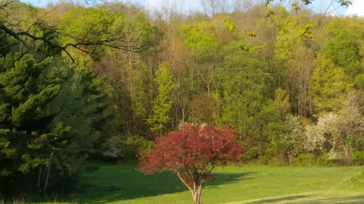 Concert Hall «Jam In the Valley», reviews and photos, 1629 US-20A, Varysburg, NY 14167, USA