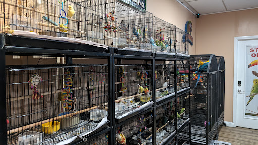 Agustin's Exotic Birds and Reptiles