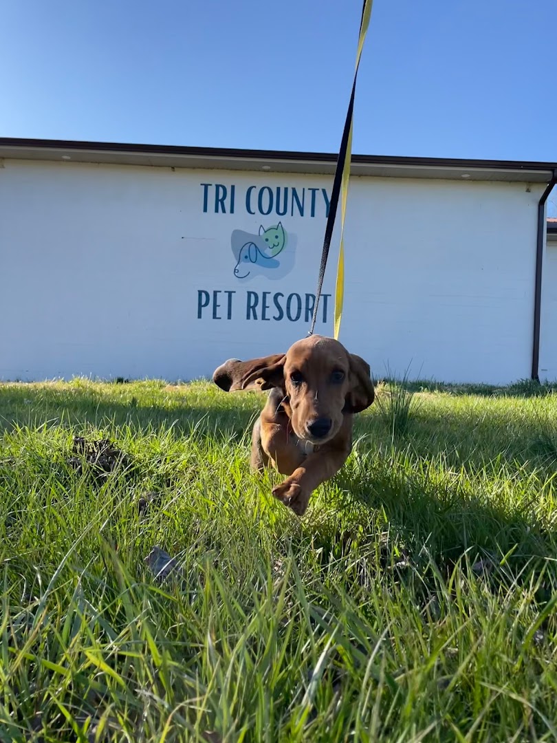 Tri County Pet Resort